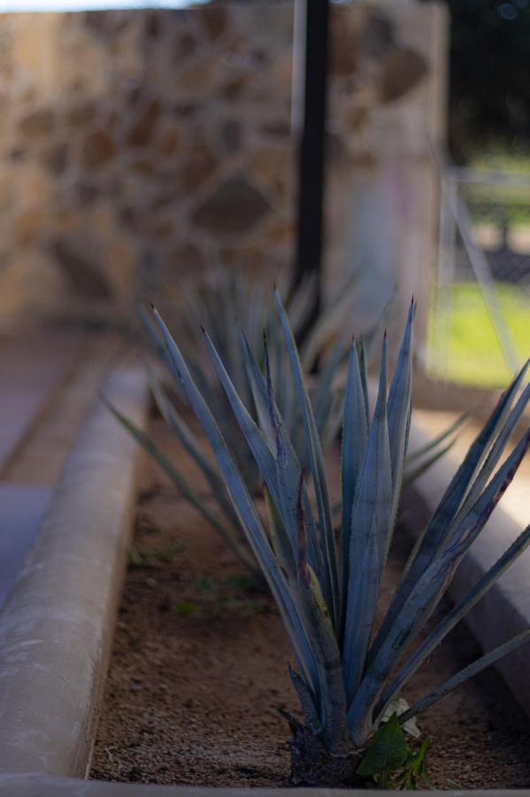 Catrina Valle - Ubicacion 10 Valle de Guadalupe Exteriör bild
